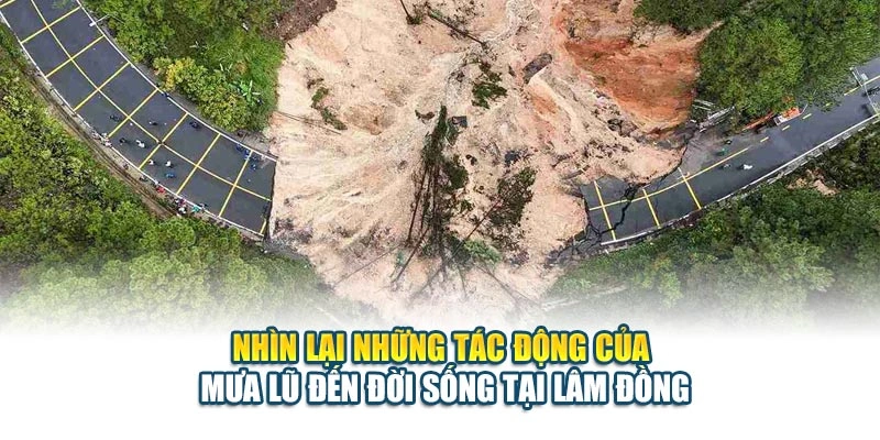 Nhìn lại những tác động của mưa lũ đến đời sống tại Lâm Đồng
