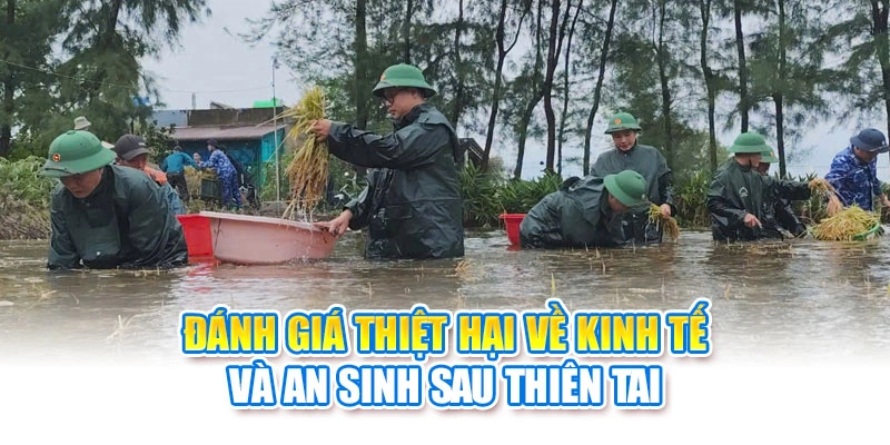 Đánh giá thiệt hại về kinh tế và an sinh sau thiên tai