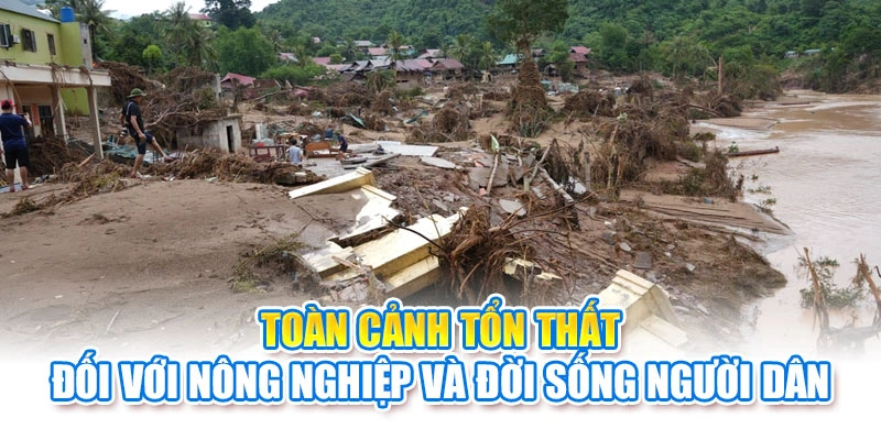 To&agrave;n cảnh tổn thất đối với n&ocirc;ng nghiệp v&agrave; đời sống người d&acirc;n