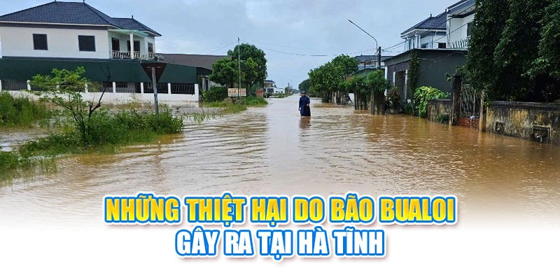Những thiệt hại do b&atilde;o Bualoi g&acirc;y ra tại H&agrave; Tĩnh