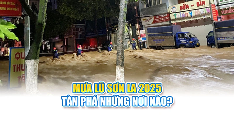 Mưa lũ Sơn La 2025 tàn phá những nơi nào