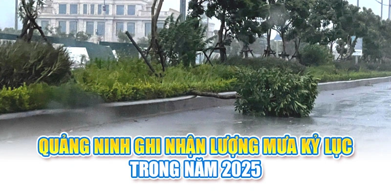 Quảng Ninh ghi nhận lượng mưa kỷ lục trong năm 2025