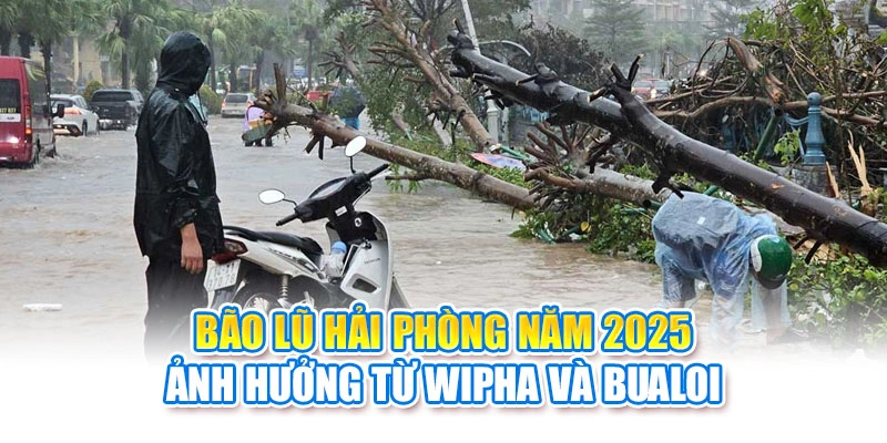 Bão Lũ Hải Phòng Năm 2025: Ảnh Hưởng Từ Wipha Và Bualoi