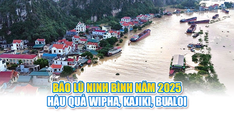 Bão Lũ Ninh Bình Năm 2025: Hậu Quả Wipha, Kajiki, Bualoi