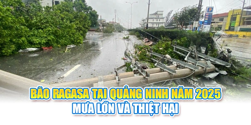 Bão Ragasa Tại Quảng Ninh Năm 2025: Mưa Lớn Và Thiệt Hại