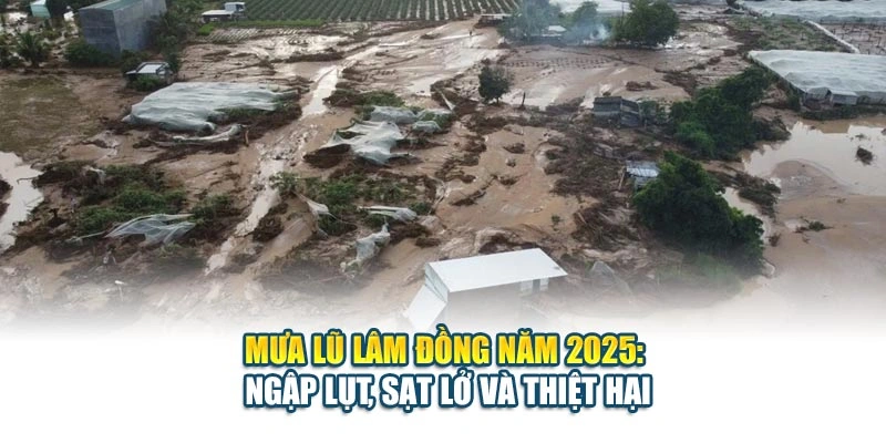 Mưa Lũ Lâm Đồng Năm 2025: Ngập Lụt, Sạt Lở Và Thiệt Hại