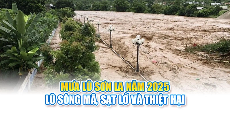 Mưa Lũ Sơn La Năm 2025: Lũ Sông Mã, Sạt Lở Và Thiệt Hại